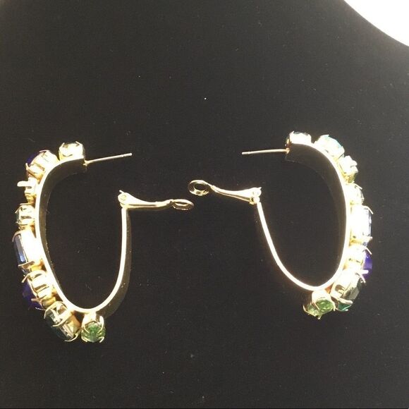 Panacea Crystal Lined Oblong Earrings (G1) - Picture 3 of 6